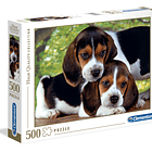 Puzzle 500 pçs - Close Together 1