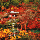 Puzzle 500 pçs - Orient Dream 2