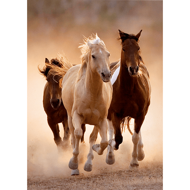Puzzle 1000 pçs - Running Horses 2