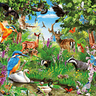 Puzzle 2000 pçs - Fantastic Forest 2