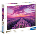 Puzzle 1000 pçs - Lavender Field 1
