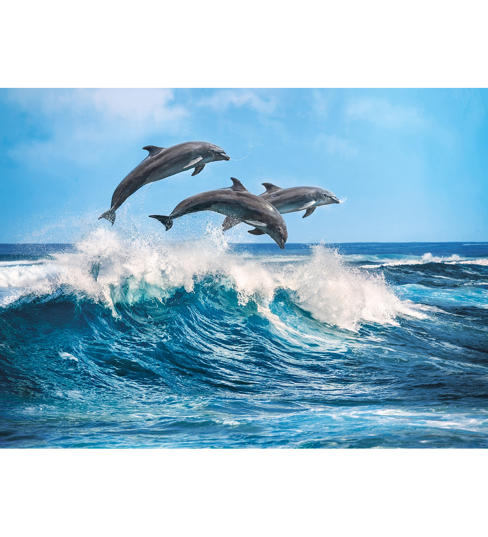Puzzle 500 pçs - Golfinhos