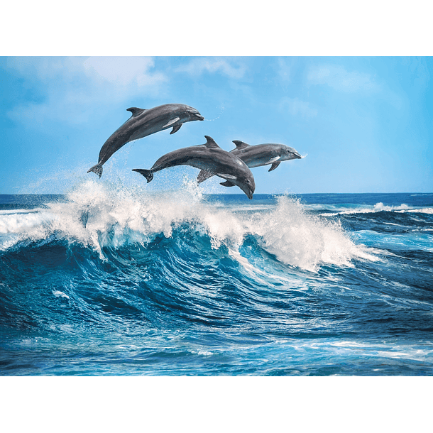 Puzzle 500 pçs - Golfinhos 2