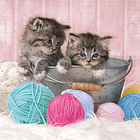 Puzzle 104 pçs - Sweet Kittens 2