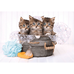 Puzzle 180 pçs - Lovely Kittens