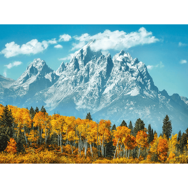 Puzzle 500 pçs - Grand Teton in Fall 2