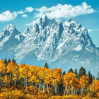 Puzzle 500 pçs - Grand Teton in Fall 2