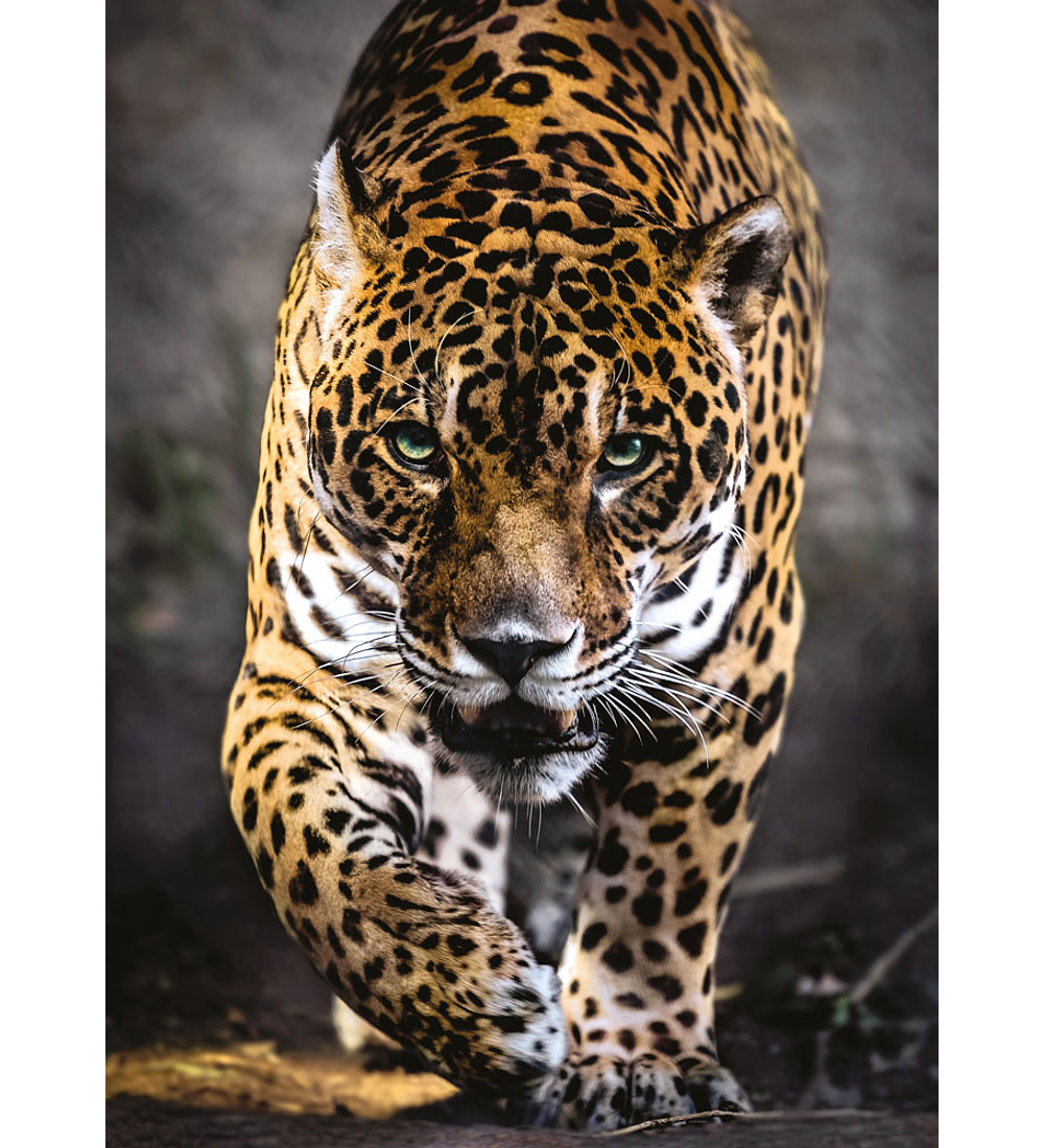 Puzzle 1000 pçs - Walk of the Jaguar