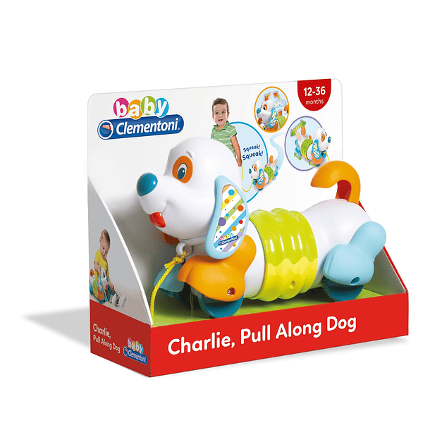 Cãozinho Charlie 1