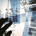 Laboratório de Investigação 4