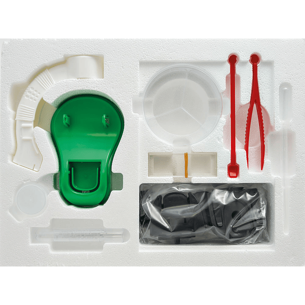 O Teu Primeiro Microscópio 6