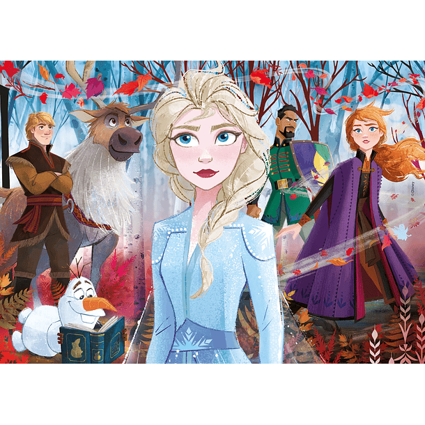Puzzle 2x20 + 2x60 pçs - Frozen II 2