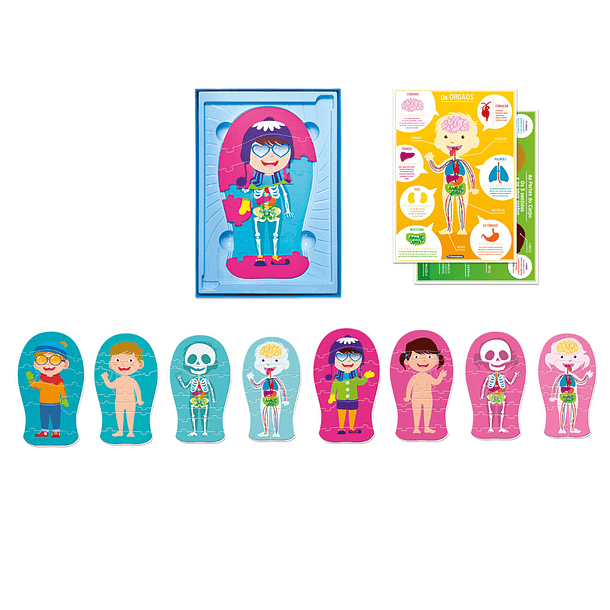 Aprende o Corpo Humano 2