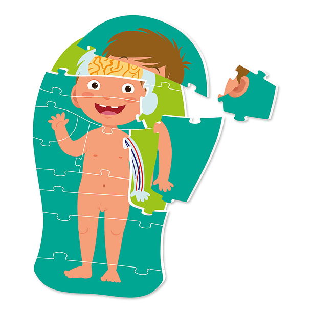 Aprende o Corpo Humano 3