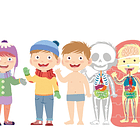 Aprende o Corpo Humano 4