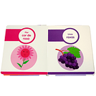 Quero Conhecer as Cores, as Formas e os Opostos 2