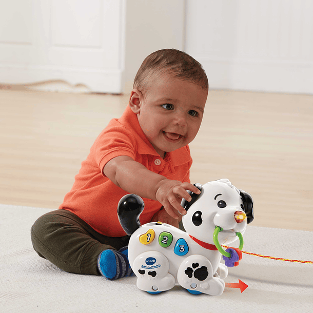V-Tech Baby - Dálmata Divertido 5