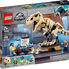 Exposição de Fóssil do Dinossauro T-Rex 1