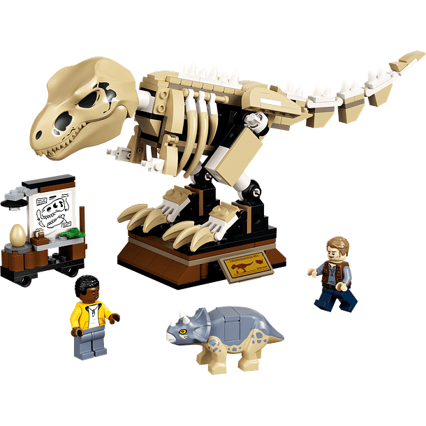 Exposição de Fóssil do Dinossauro T-Rex 2