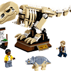 Exposição de Fóssil do Dinossauro T-Rex 2