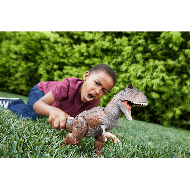 Dino - Carnotaurus Toro 6