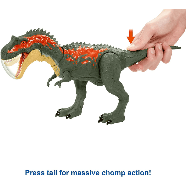 Dino - Albertosaurus 4