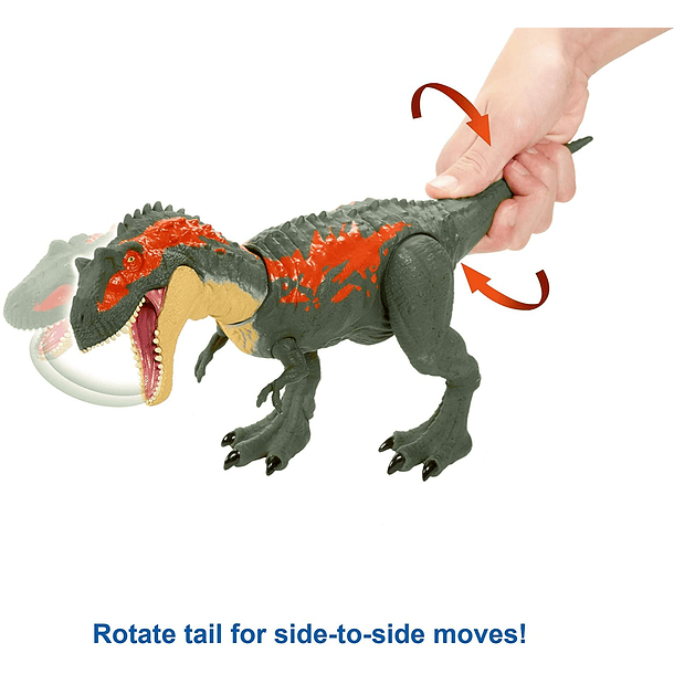 Dino - Albertosaurus 5