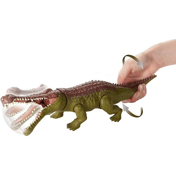 Dino - Sarcosuchus 3