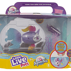 Aquário de Aquaritos 1