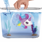 Aquário de Aquaritos 4