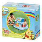 Piscina Winnie The Pooh 1