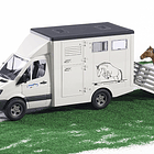 MB Sprinter Transportador com Cavalo 3