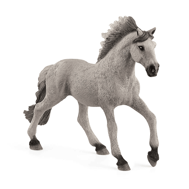 Cavalo Sorraia Mustang 