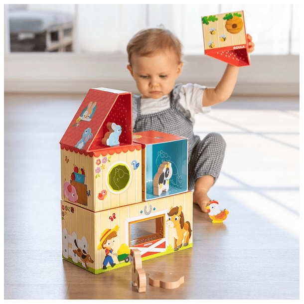 A Minha Primeira Quinta 3