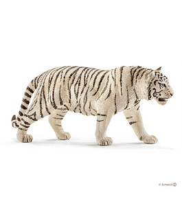Tigre Branco