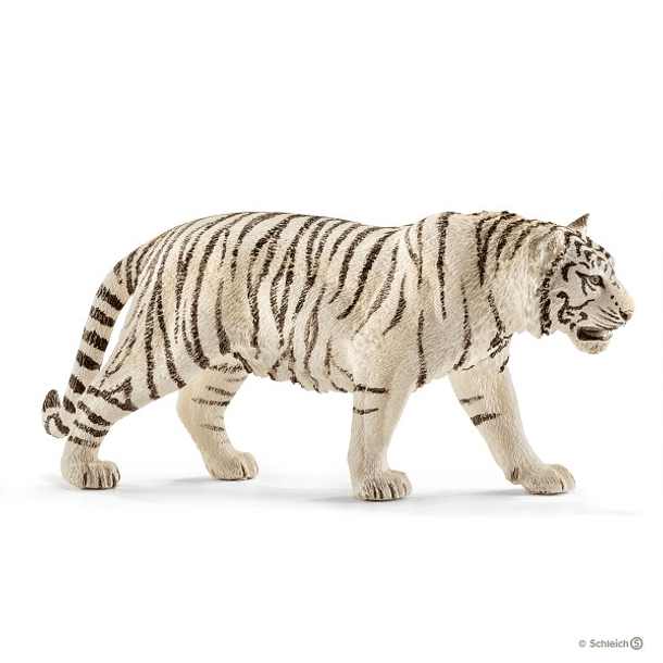 Tigre Branco 