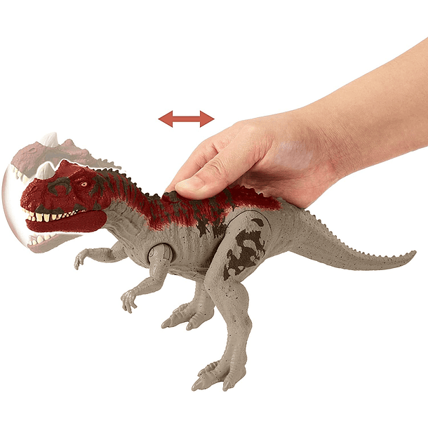 Ruge e Ataca - Ceratosaurus 3