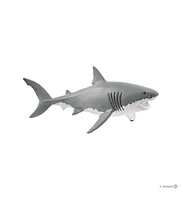 Tubarão Branco
