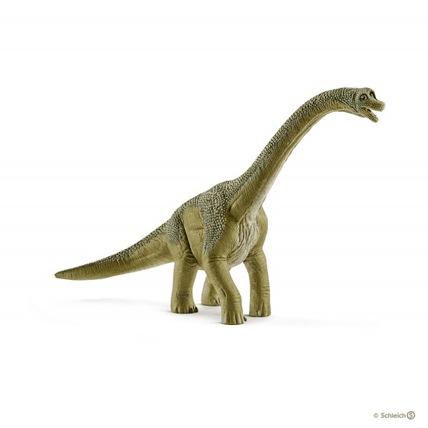 Brachiosaurus 