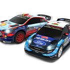 Pista WRC Rally Corsica 3