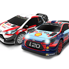 Pista WRC Rally Turini 3