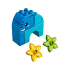 O Meu Primeiro Elefante 2