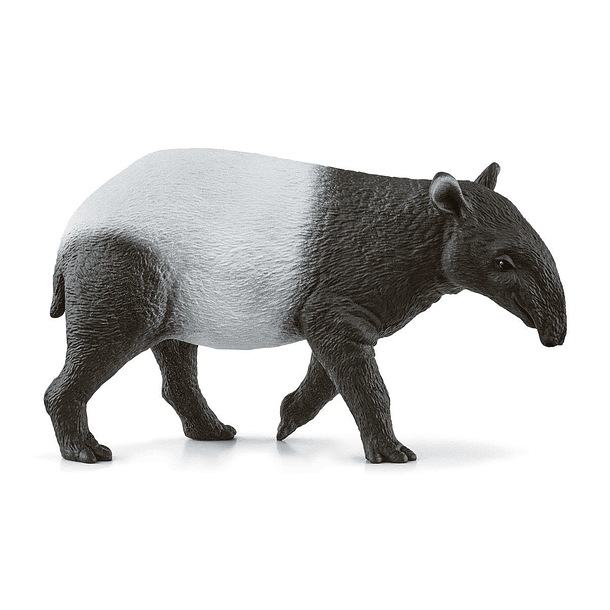 Tapir 