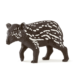 Tapir, cria