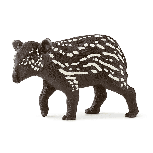 Tapir, cria 