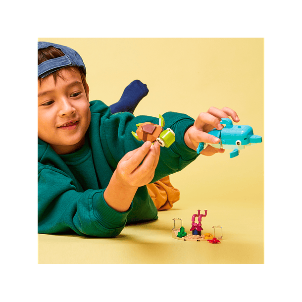 Golfinho e Tartaruga 5