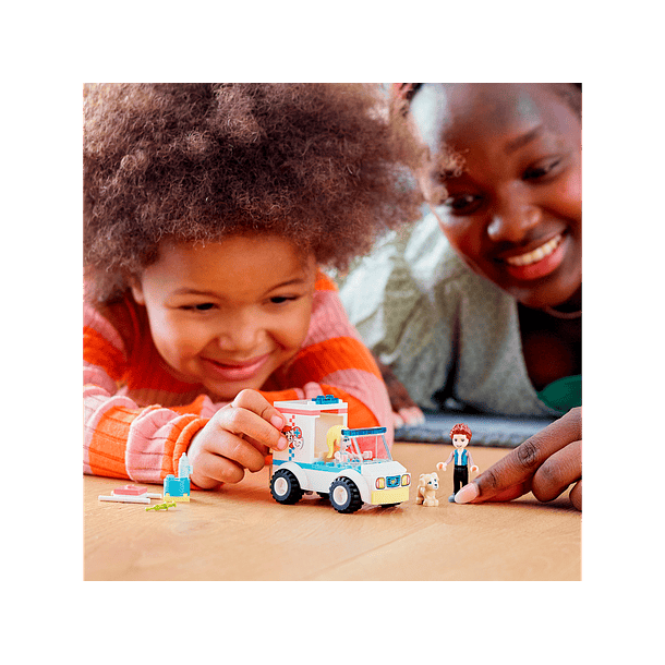 Ambulância da Clínica Veterinária 3