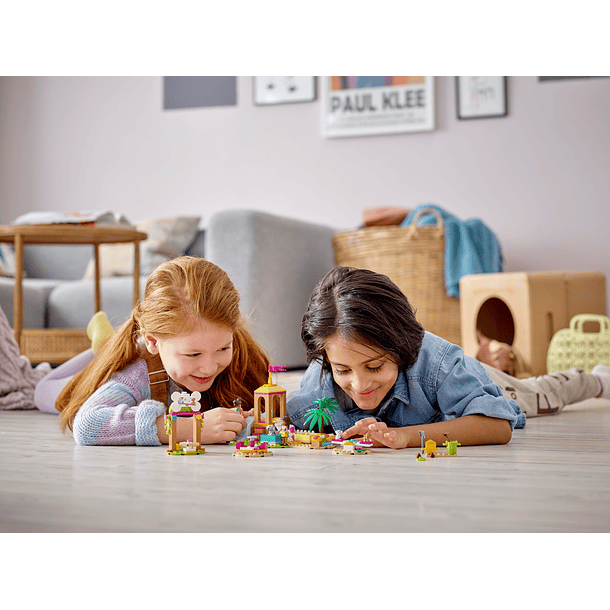 Parque de Recreio para Animais 3