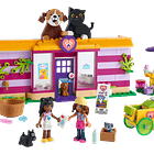 Café de Adoção de Animais 2