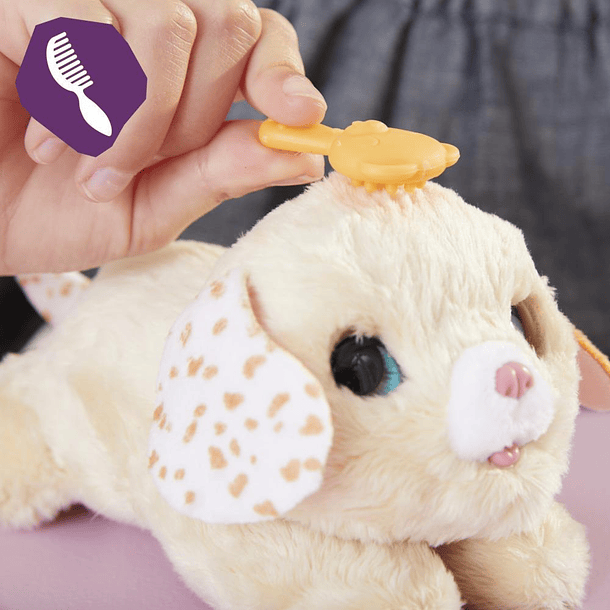 New Borns - Cãozinho 3